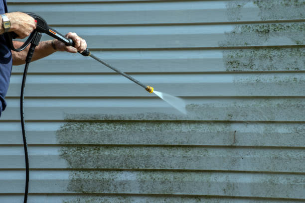 Best Driveway Pressure Washing  in Andrews, IN